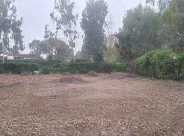 Terreno / Lote · 1167m² · Terreno en de Lurin