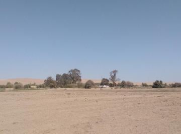 Terreno / Lote · 22250m² · Terreno en Venta – 22,250 m² – Panamericana Sur Km 234 – Pisco, Ica