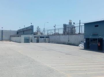 Nave industrial · 6000m² · Venta de Local Industrial de 12,800 m² en Carmen de La Legua - Callao