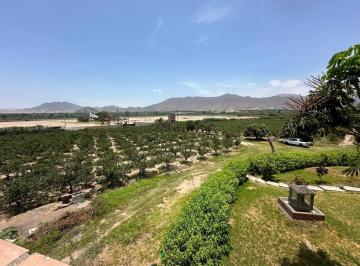 Terreno / Lote · 75000m² · 10 Estacionamientos · Vendo Casa de Campo con Terreno Agricola en Fundo Villa Clarita, Huaral