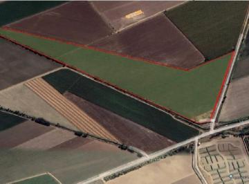 Terreno / Lote , Cañete · Excelente Terreno Rustico en Zona de Expansión Urbana en Venta en Cañete