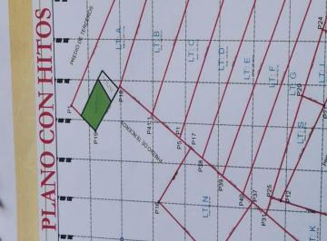 Terreno / Lote , Pisco · Terreno Agroexportacion Sta Maria Humay - Pisco - Ica C. P. Sta Cruz $30 X Ha
