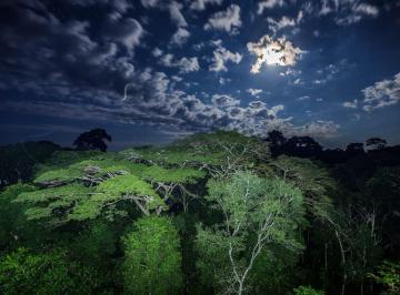 Terreno / Lote · 3505m² · Terreno en Tambopata, Madre de Dios