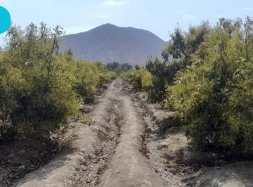 Terreno / Lote · 290000m² · Terreno en Moro
