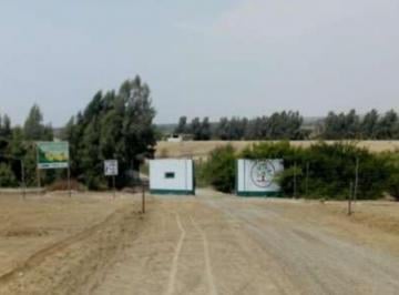 Terreno / Lote de 5 habitaciones, Pisco · Venta de Terreno de 49.43 Ha en San Clemente, Pisco