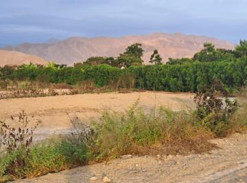 Terreno / Lote · 1000m² · Venta de Terreno en Asia, Cañete de 1,000 m² en El Limón Santa Rosa de Asia, Cañete