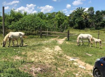 Terreno / Lote · 90000m² · Venta de Terreno Agrícola Ganadero 9 Has Iquitos