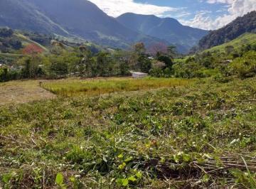 Terreno / Lote , Oxapampa · Vta Pozuzo Sector Quebrada Guacamayo / Granja Fátima Terreno S/rural Inscr/rrpp