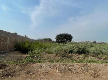 Terreno agrícola · 5000m² · Vendo Terreno de 5,000 m² en Chacarilla de Barraza - Trujillo