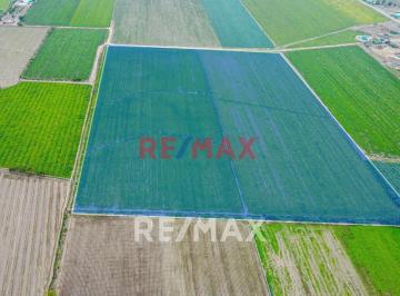 Terreno / Lote · 55000m² · Alquiler de Terreno de Alta Visibilidad a Pocos Minutos de La Panamericana Norte y Megapuerto