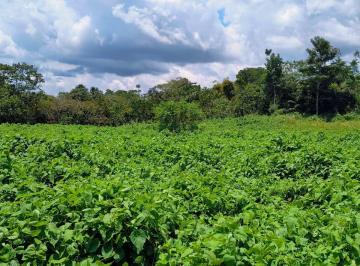 Terreno / Lote , Maynas · Terreno Rústico en La Selva del Perú de 14.5 Hectáreas en Iquitos, Loreto