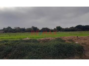 Terreno / Lote · 13000m² · Venta de Terreno 13 Mil m² en Pachacamac