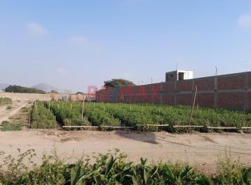 Terreno / Lote · 1700m² · Venta de Terreno en Pachacamac