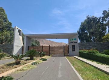 Terreno / Lote , Cañete · Venta Terreno en Condominio Nuevo Polo - San Antonio Km 73.5 en El Sur