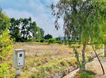 Terreno / Lote · 3316m² · Vendo Hermoso Terreno de 3316 m², Condominio Oasis de San Andres