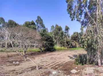Terreno / Lote · 20768m² · Espectacular Terreno 20,768 m² a U$55xm², Bujama, Panamericana Sur 94.8 Km. Mala