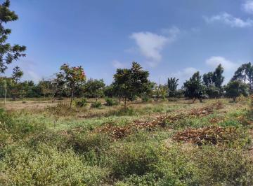 Terreno / Lote · 28000m² · Hermoso Terreno 28,000 m² a Us 35 X m², Camino Mina Condestable - Mala