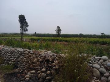 Terreno agrícola , Cañete · Ab - 1162 - Se Vende Excelente Terreno Agricola de 150 Has en Herbay Alto, San Vicente de Cañete