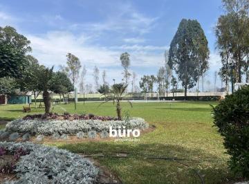Parque, área común · ¡Oportunidad! Preciosos Terrenos de Campo en Venta, El Olivar, Pucusana
