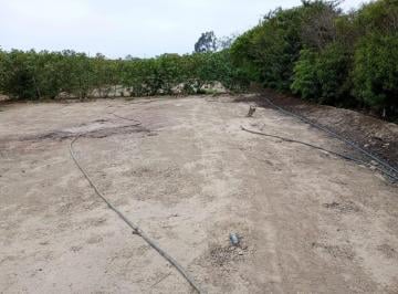 Terreno / Lote , Cañete · Venta de Terreno en Condominio Los Damascos, Asia, a 10 Minutos del Boulevard de Asía