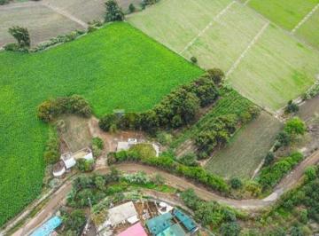 Terreno / Lote , Huaral · A La Venta Terreno Agrícola de 3.68 Hectáreas a 28 Minutos Al Puerto de Chancay