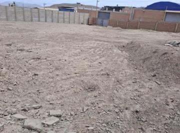 Local comercial 5000m² Alquiler Carabayllo · Alquilo Terreno Industrial Ideal Almacen Deposito Zapallal Puente Piedra.
