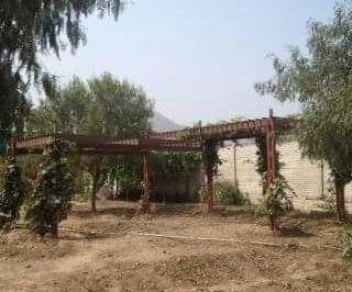 Terreno / Lote · 10048m² · 1 Dormitorio · Vendo Lindo Terreno en Calle 8 Pachacamac Mz 0000, Lt 0000, Pachacamac