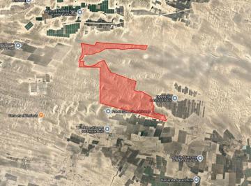 Terreno agrícola , Pisco · Vendo Terreno Agroindustrial en Humay de At: 1,295ha Todo El Regla
