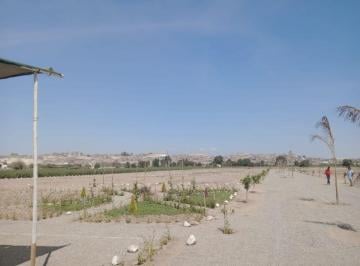 Terreno / Lote , Pisco · Venta de Terrenos en San Clemente. pisco