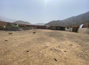 Terreno / Lote · 1000m² · Terreno a La Venta en Pachacamac Comunidad Campesina Collanac