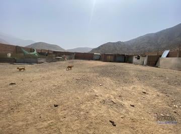 Terreno / Lote · 1000m² · Terreno a La Venta en Pachacamac Comunidad Campesina Collanac
