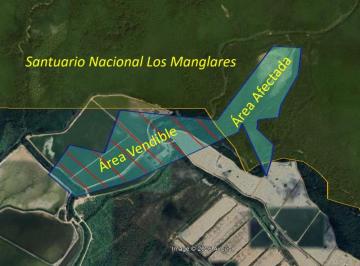 Terreno / Lote , Zarumilla · ¡Oportunidad de Inversión en Zarumilla – Tumbes!