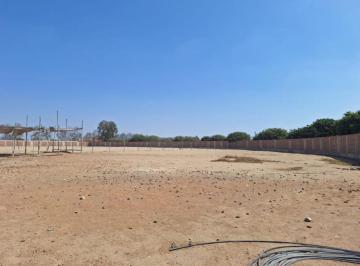 Terreno / Lote , Ica · En Venta Amplio Terreno Ubicado en Fundo El Almendral, Salas - Guadalupe - Ica