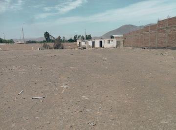 Terreno / Lote , Cañete · Terreno de 10 Mil m² Papa Leon XIII Chilca