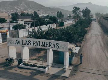 Terreno / Lote , Cañete · Terreno de 10 Mil m² Papa Leon XIII Chilca