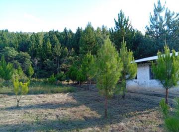 Casa de campo 4411m² Venta Huancabamba · Vendo Terreno con Una Casa Lista Para Vivir