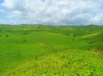 Terreno / Lote · 1000m² · 100 Estacionamientos · Vendo Eco Lotes Para Casas de Campo en Canoas de Punta Sal, Tumbes