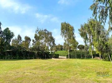 Terreno / Lote · 1568m² · Venta de Terreno en Exclusivo Condominio Paso Chico, Lurin – 1568.41 m²