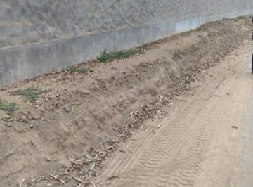 Local comercial , Lima · Local Comercial de 22000 m² en Alquiler, Anexo Nuevo Lurin