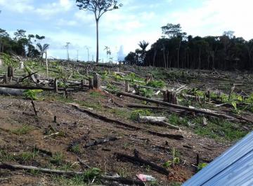Terreno / Lote · 279500m² · Terreno en Iquitos