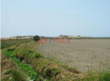 Terreno / Lote · 49240m² · Se Vende Terreno de 4.92 Has en Supe Puerto Barranca