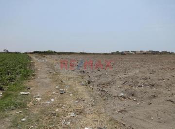 Terreno / Lote · 63150m² · Se Vende Terreno de 6.32 Has en Supe Puerto Barranca
