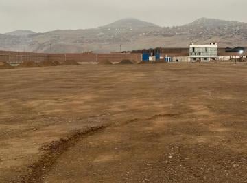 Terreno / Lote · 5000m² · Terreno en Alquiler Ventanilla 5,000 m²