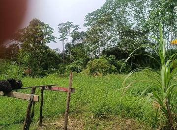 Terreno / Lote · 17066m² · Vendo Terreno Urbano, Cacerio Quistococha, Km 3 Carretera Iquitos Nauta, San Juan Bautista, Iquitos