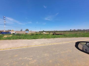 Terreno / Lote , Arequipa · Se Vende Terreno Agricola Rodeado por La Pista, en Variante de Uchumayo