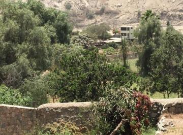 Terreno / Lote · 40000m² · Vendo Terreno Flat en Fundo Yangas N Xx, Km 56, Canta.