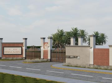 Terreno / Lote , Chincha · Vendo Lotes Hierba Santa – Chincha, Ica | Lote 500 m²