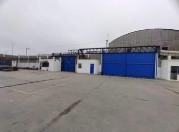 Local comercial · 10000m² · Alquiler Local Industrial 10,000 m² - Lurín