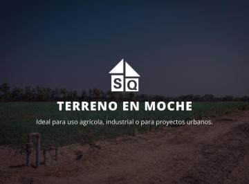 Terreno / Lote · 250m² · 10 Estacionamientos · Terreno - Moche
