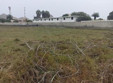 Terreno / Lote · 27410m² · Vendo Terreno de 19,000 m² Playa Totoritas, Mala